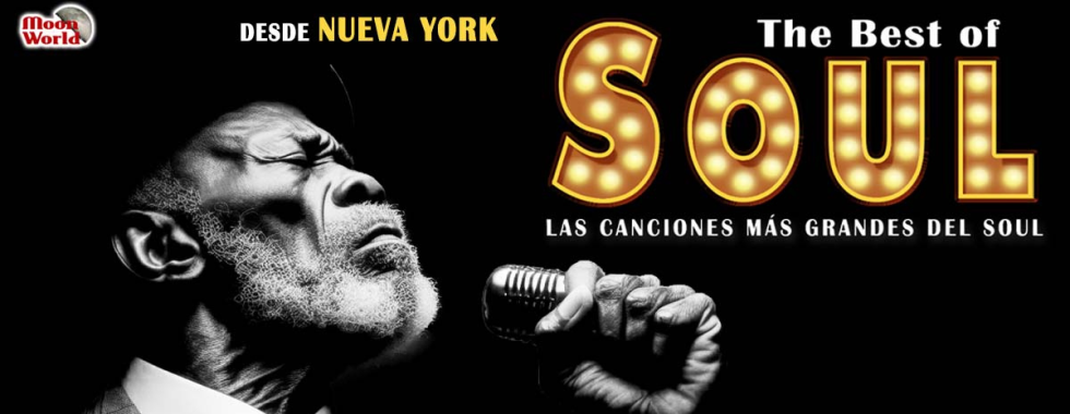 The Best of SOUL presenta a cinco talentosos cantantes interpretando los clásicos más emblemáticos del Soul, como When a Man Loves a Woman y Soul Man, en un escenario inspirado en Nueva York. Los artistas están acompañados por músicos en vivo que tocan contrabajo, cello, violín, viola, batería, percusión, piano y saxofón, creando una experiencia musical única.